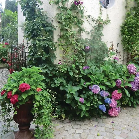 Apartman In Bad Schlema Ot Wildb *