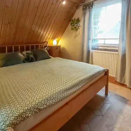 Apartament In Bad Schlema Ot Wildb Schneeberg (Saxony)