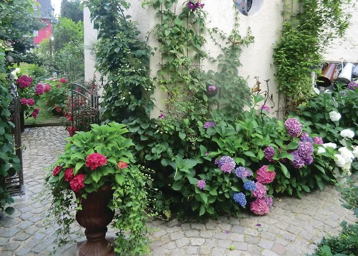 דירה In Bad Schlema Ot Wildb *