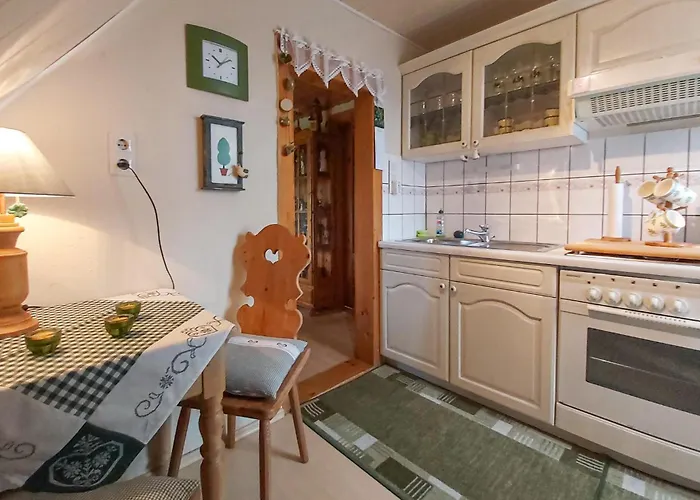 In Bad Schlema Ot Wildb דירה *